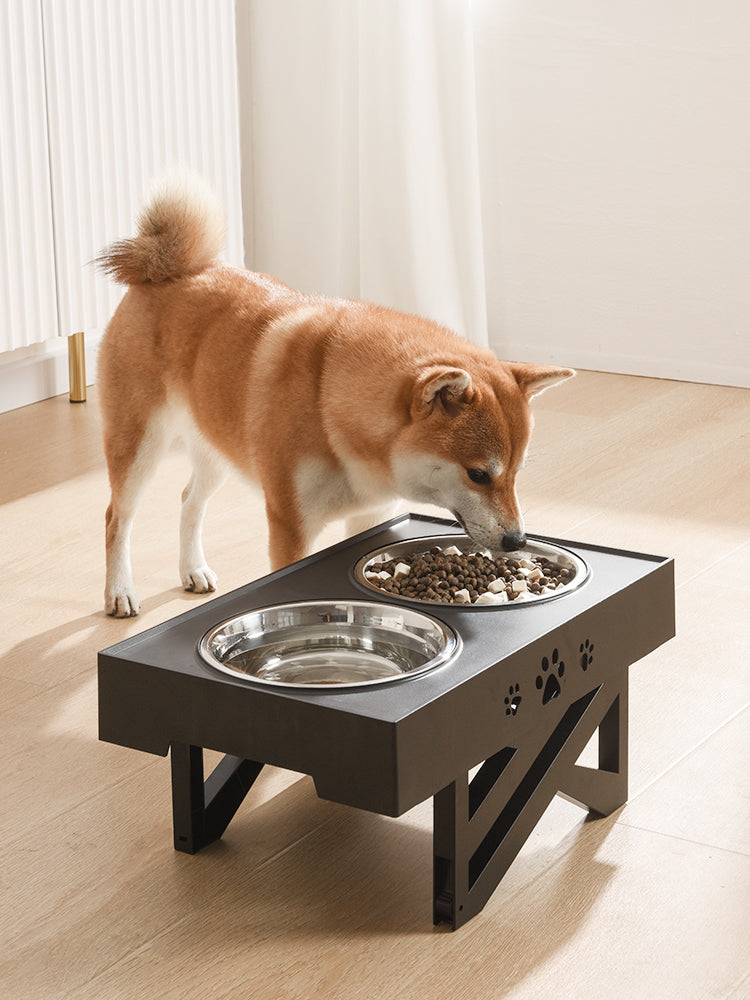Elevate Your Pet's Dining Experience with Our Stainless Steel Folding Pet Feeding Bowl